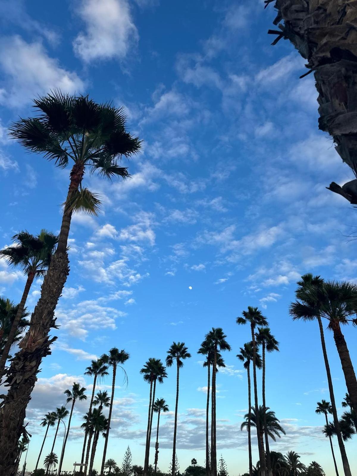 Bungalow Oasis Canaria มาสปาโลมาส ภายนอก รูปภาพ